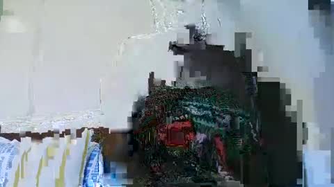Snapshot of sweetvixen_ chatting on December 5, 2024, 12:44 pm Cute vixen online show from December 5, 2024, 12:44 pm