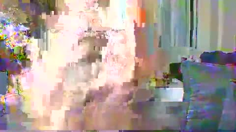Snapshot of sweetvixen_ chatting on December 11, 2024, 2:30 am Cute vixen online show from December 11, 2024, 2:30 am