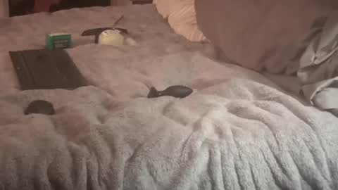 Snapshot of sxymn123 chatting on September 14, 2025, 9:30 am SissyDenver online show from September 14, 2025, 9:30 am