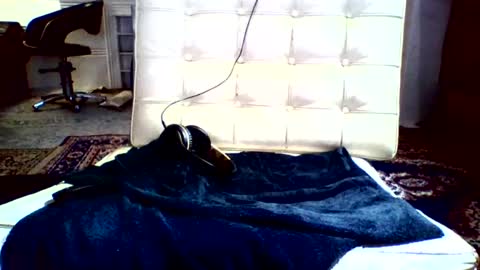 subfordomme online show from December 16, 2024, 2:05 pm