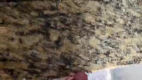 Snapshot of tacitblue7 chatting on March 2, 2026, 4:47 pm Canon online show from March 2, 2026, 4:47 pm