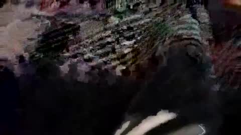 Snapshot of tacitblue7 chatting on March 21, 2026, 6:11 pm Canon online show from March 21, 2026, 6:11 pm