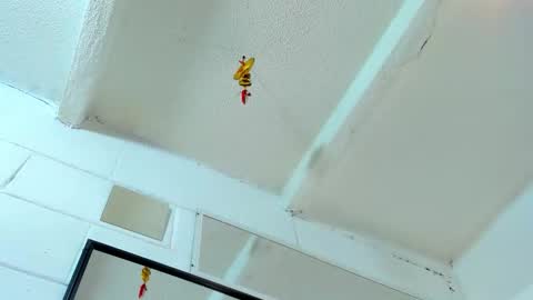 Snapshot of tafari_1 chatting on March 2, 2026, 5:08 am Tafari Zulu online show from March 2, 2026, 5:08 am