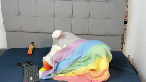 tailor online show from October 23, 2025, 3:33 pm