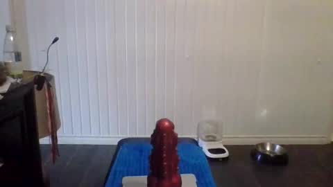 tallman_007 online show from November 21, 2025, 5:55 pm