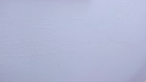 Tamara online show from February 9, 2025, 9:47 am