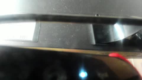 TAMMY  online show from January 29, 2025, 8:40 am