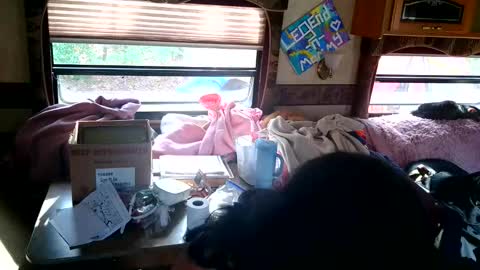 tastycakes999 online show from November 18, 2025, 6:45 pm