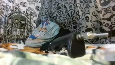 Snapshot of tattiandbugle chatting on October 24, 2025, 9:55 pm Katty badbitch online show from October 24, 2025, 9:55 pm