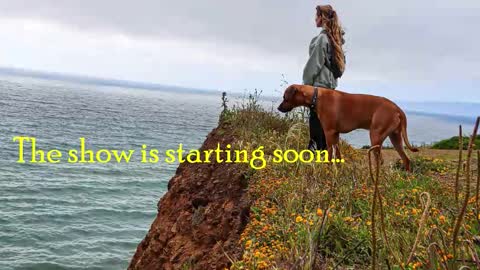 TATUM  ALL MY LINKS  online show from October 23, 2025, 10:30 pm