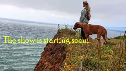 Snapshot of tatum__kahlo chatting on February 11, 2026, 2:49 am TATUM ALL MY LINKS online show from February 11, 2026, 2:49 am