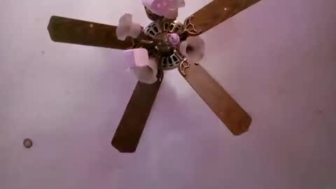 Snapshot of td42020 chatting on September 16, 2025, 6:53 pm td42020 online show from September 16, 2025, 6:53 pm