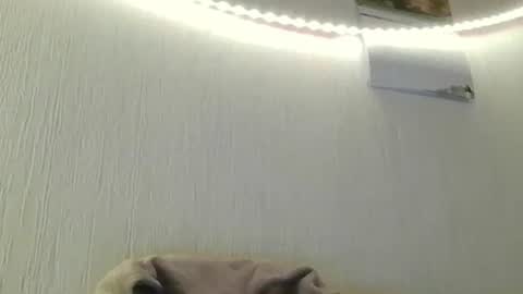 Peter online show from July 8, 2026, 8:46 pm