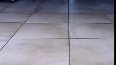 teninchheels online show from September 16, 2025, 6:31 pm