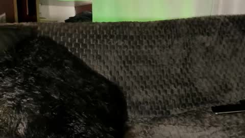 Snapshot of teo_369 chatting on January 8, 2026, 4:09 pm Teo online show from January 8, 2026, 4:09 pm