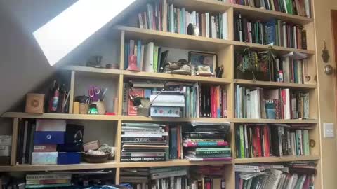 Snapshot of terraworship chatting on March 3, 2025, 6:01 pm Terra Worship Findomme online show from March 3, 2025, 6:01 pm