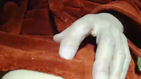 tetuo2 online show from October 14, 2025, 4:13 am