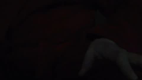 Snapshot of tetuo2 chatting on November 17, 2025, 5:13 am tetuo2 online show from November 17, 2025, 5:13 am