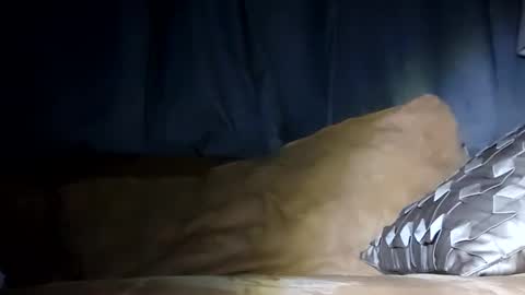 MauiMinded808 online show from January 29, 2025, 7:46 am