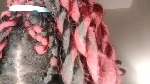 Snapshot of tgirlfairy chatting on January 17, 2025, 5:32 am sexi lexi online show from January 17, 2025, 5:32 am