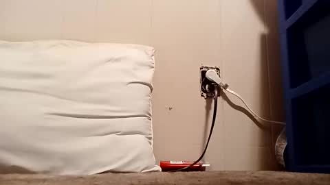 Snapshot of thatb1 chatting on December 16, 2025, 4:50 am thatb1 online show from December 16, 2025, 4:50 am