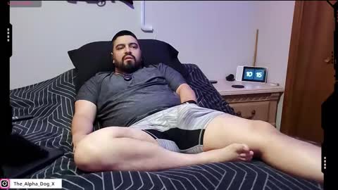 Snapshot of the_alpha_dog_xxx chatting on November 17, 2025, 4:13 pm the_alpha_dog_xxx online show from November 17, 2025, 4:13 pm