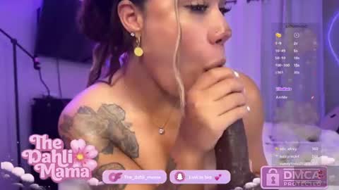 Snapshot of the_dahli_mama chatting on July 20, 2026, 4:05 am the_dahli_mama online show from July 20, 2026, 4:05 am