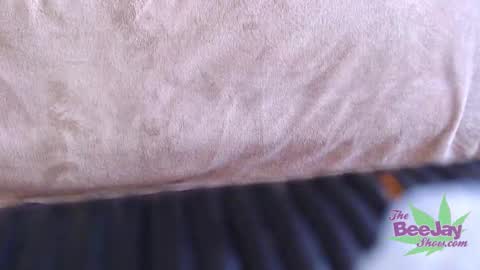 Snapshot of thebeejayshow chatting on December 4, 2024, 3:43 pm TheBeeJayShow online show from December 4, 2024, 3:43 pm