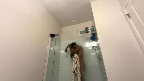 Snapshot of theekingcapo chatting on December 26, 2024, 10:52 pm king capo thee online show from December 26, 2024, 10:52 pm