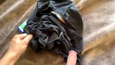 Newcummers online show from July 9, 2026, 6:12 pm