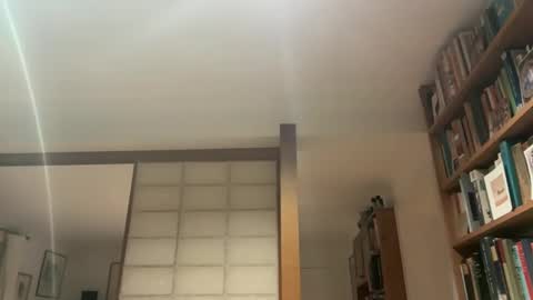 Snapshot of theowlandthe chatting on January 16, 2025, 7:52 pm theowlandthe online show from January 16, 2025, 7:52 pm