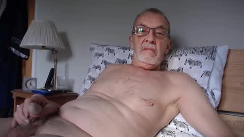 Snapshot of theowlandthe chatting on February 25, 2025, 12:24 pm theowlandthe online show from February 25, 2025, 12:24 pm