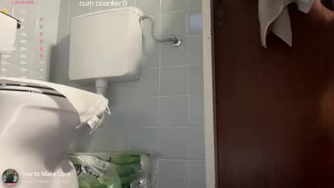 Snapshot of thesearchofgod chatting on February 12, 2026, 4:24 pm LISA online show from February 12, 2026, 4:24 pm