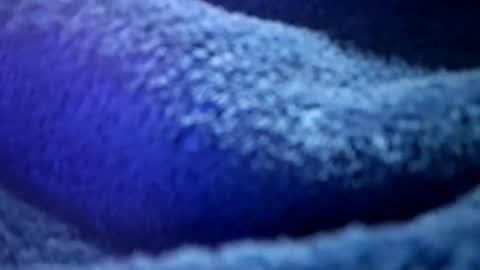 Snapshot of thetasigma69 chatting on February 16, 2026, 1:18 pm that would be telling online show from February 16, 2026, 1:18 pm