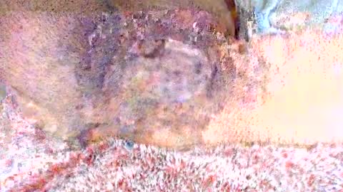 Snapshot of thetightestass14 chatting on February 20, 2025, 8:36 pm thetightestass14 online show from February 20, 2025, 8:36 pm