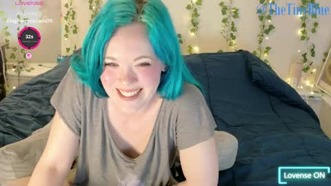 Tiny Blue online show from April 22, 2026, 5:14 pm