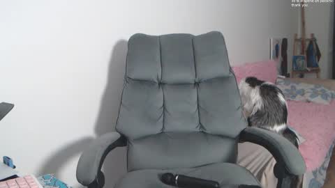 Snapshot of theysaidimcute chatting on February 19, 2026, 9:11 pm theysaidimcute online show from February 19, 2026, 9:11 pm