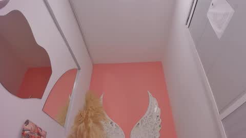 Lexxy online show from February 2, 2026, 11:53 am