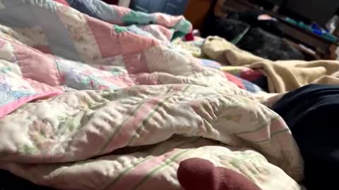 Snapshot of thickdic44 chatting on February 12, 2025, 6:40 pm thickdic44 online show from February 12, 2025, 6:40 pm