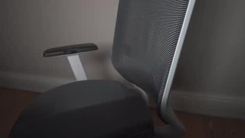 thicksized online show from October 25, 2025, 8:58 pm