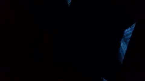 Snapshot of thisdixforyou chatting on December 31, 2024, 7:40 pm thisdixforyou online show from December 31, 2024, 7:40 pm