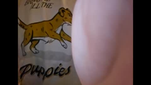 Snapshot of thisisfuckingfun chatting on March 4, 2025, 7:19 am ThisIsFuckingFun online show from March 4, 2025, 7:19 am