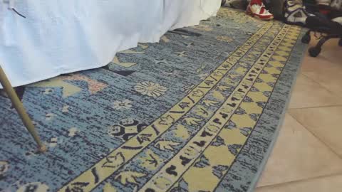 Snapshot of thongmuscle chatting on February 27, 2025, 1:49 pm ThongMuscle online show from February 27, 2025, 1:49 pm