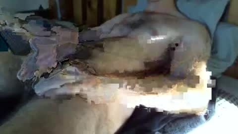 Snapshot of throbmasterr chatting on December 19, 2025, 8:16 pm throbmasterr online show from December 19, 2025, 8:16 pm