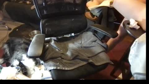 Snapshot of thundersword chatting on March 8, 2025, 7:09 pm thundersword online show from March 8, 2025, 7:09 pm