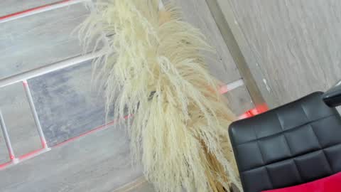 Snapshot of tiff_valentine chatting on February 5, 2025, 7:50 am Tiffany online show from February 5, 2025, 7:50 am