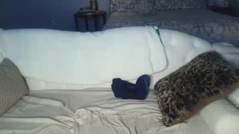 Snapshot of tiffanilove chatting on February 8, 2025, 1:00 am Tiffani Love online show from February 8, 2025, 1:00 am