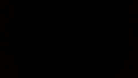 tiff online show from December 19, 2024, 12:02 am