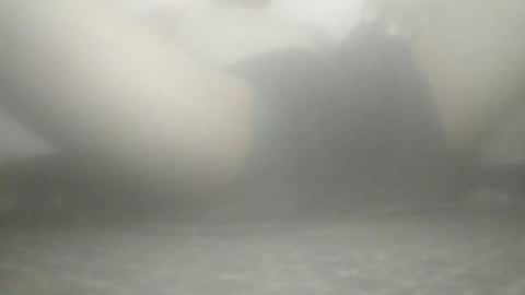 tiger005588 online show from November 21, 2025, 9:08 am