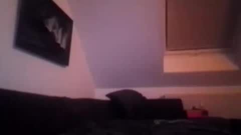 Snapshot of tigertrance chatting on November 17, 2025, 1:55 am tigertrance online show from November 17, 2025, 1:55 am